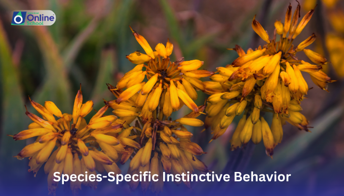 Lesson 09: Examples of Species-Specific Instinctive Behavior